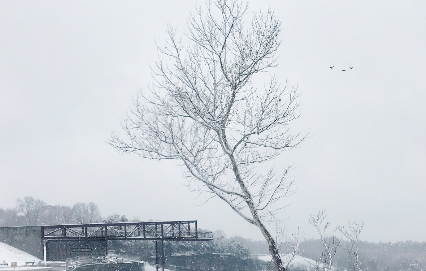 STITCH Design Shop Quarry Park Exterior Winter View