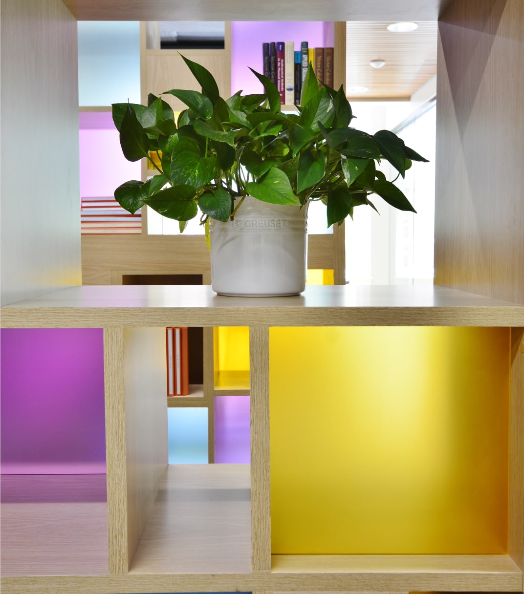 STITCH Design Shop WFU Math Interior Close Up