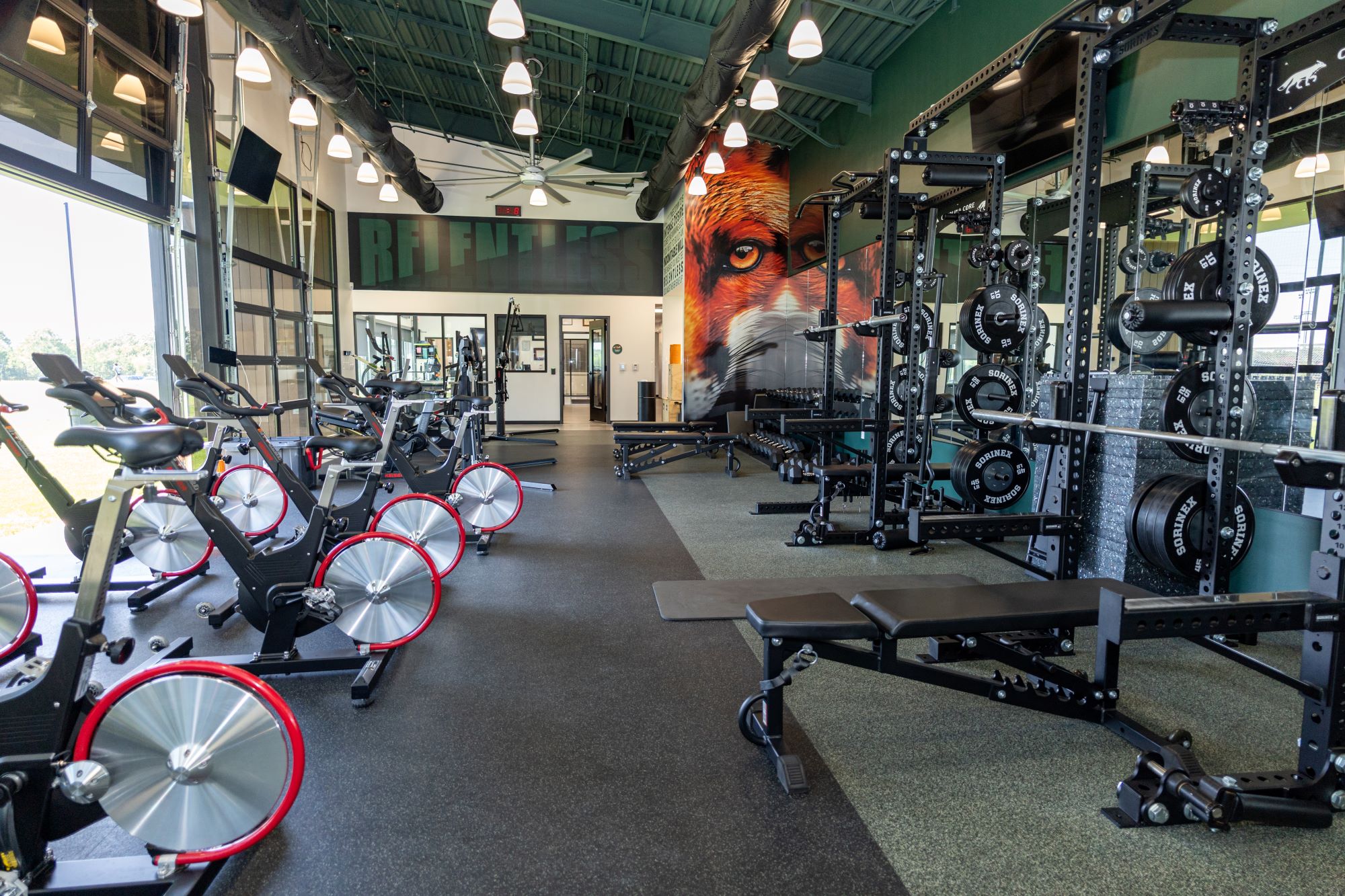 Interior Shot of CCFC gym showing gym equipment and large fox face mural